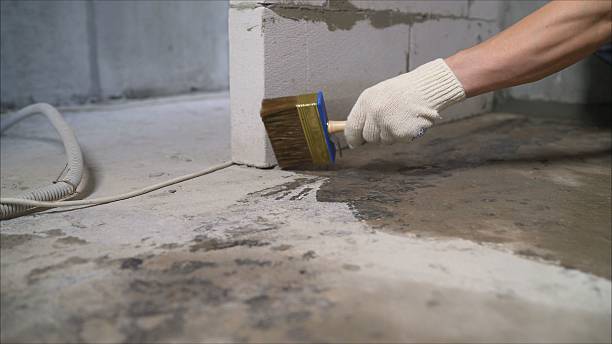 SJ Waterproofing Pros Waterproofing coverage map for Adelphi, MD and surrounding area